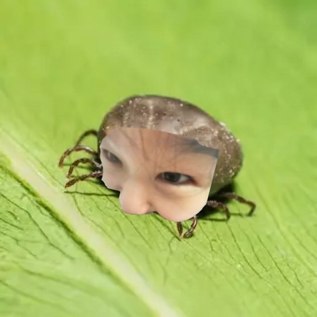 Animal Image